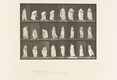 Prato 299. Jogar com uma bola de Eadweard Muybridge