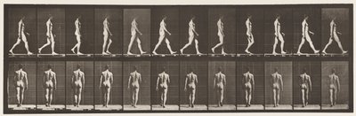 Placa 2. Caminhada, 1872-1885 de Eadweard Muybridge
