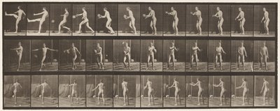 Placa 301. Bola de futebol; Punt, 1885 de Eadweard Muybridge