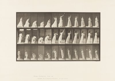 Placa 305. Picando uma Bola e Jogando-a, 1885 de Eadweard Muybridge