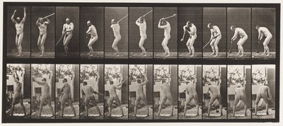 Placa 308. Lançamento do Martelo, 1885 de Eadweard Muybridge