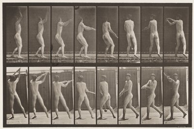 Placa 309. Jogando o Martelo de Eadweard Muybridge