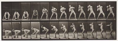 Placa 318. Levantando uma pedra de 75 lb, 1872-1885 de Eadweard Muybridge
