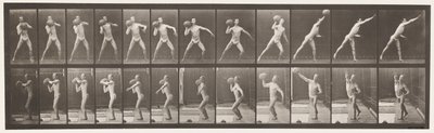Placa 319. Levantando uma pedra de 75 libras de Eadweard Muybridge