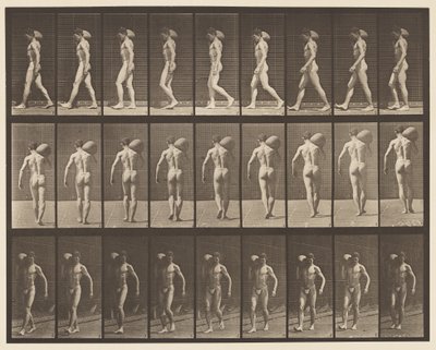 Placa 31. Caminhando, carregando uma pedra de 75 libras no ombro direito de Eadweard Muybridge