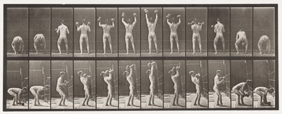 Placa 323. Levantando e Abaixando Dois Dumb-Bells de 50 lb de Eadweard Muybridge
