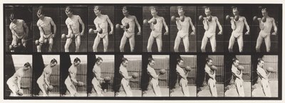 Placa 324. Curling 50 libras. Dumb-Bell, Model, 3-4 de comprimento de Eadweard Muybridge