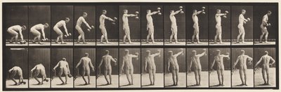 Placa 326. Levantamento de 50 libras. Dumb-Bell na altura do braço de Eadweard Muybridge