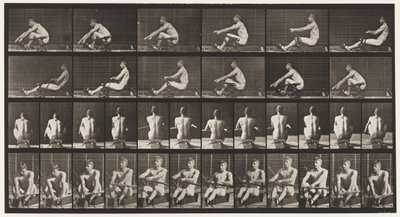 Placa 327. Remo de Eadweard Muybridge