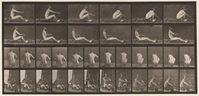 Placa 328. Remo de Eadweard Muybridge