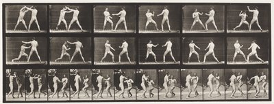 Placa 329. Boxe; (Sapato) de Eadweard Muybridge