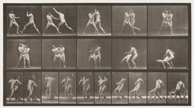 Placa 331. Boxe; Pare para Cross-Buttocks de Eadweard Muybridge