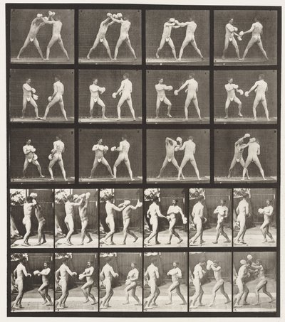 Placa 334. Boxe; Com Luvas (Sapatos) de Eadweard Muybridge