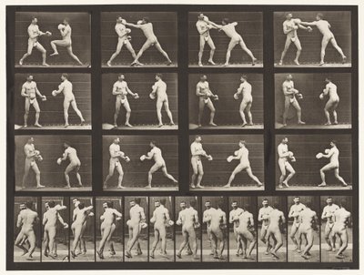 Placa 335. Boxe; Com luvas de Eadweard Muybridge