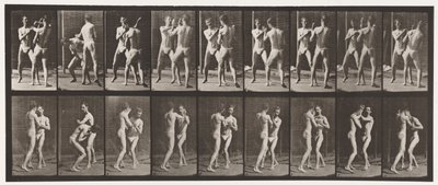 Placa 337. Encaixotamento; Mão aberta de Eadweard Muybridge