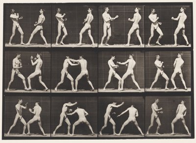 Placa 338. Boxe; Mão aberta (sapatos) de Eadweard Muybridge