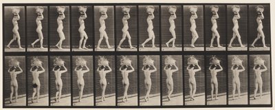 Placa 33. Andando, 14-lb. Cesta na cabeça, mãos levantadas, 1872-1885 de Eadweard Muybridge