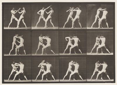 Placa 340. Boxe; Mão aberta de Eadweard Muybridge