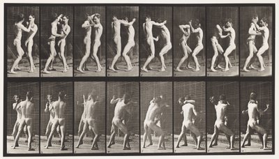 Placa 341. Boxe; Mão Aberta de Eadweard Muybridge