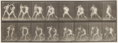Placa 342. Encaixotamento; Mão Aberta, 1872-1885 de Eadweard Muybridge