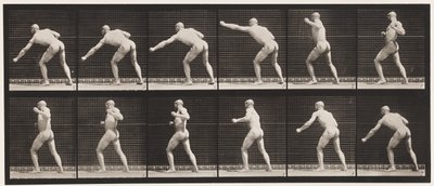 Placa 343. Dando um soco (mão esquerda) de Eadweard Muybridge