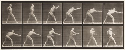 Placa 344. Golpe (Mão direita) de Eadweard Muybridge