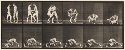 Placa 345.Wrestling, Bloqueio, 1885 de Eadweard Muybridge