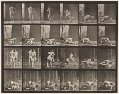 Placa 346. Wrestling, Lock de Eadweard Muybridge