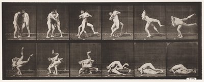 Placa 347.Wrestling, greco-romana, 1885 de Eadweard Muybridge
