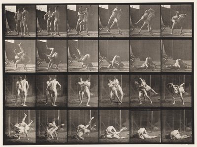Placa 348.Wrestling, greco-romana, 1885 de Eadweard Muybridge