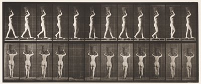 Placa 34. Caminhando de Eadweard Muybridge