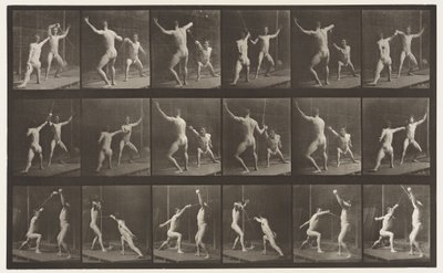 Placa 350. Esgrima de Eadweard Muybridge