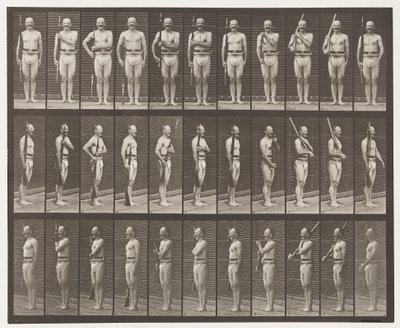 Placa 352. Ombro, ordem e braços de transporte de Eadweard Muybridge