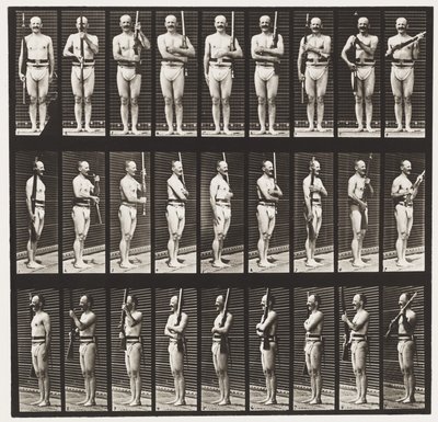 Placa 353. Apoio ao Braço e ao Porto de Armas, 1872-1885 de Eadweard Muybridge