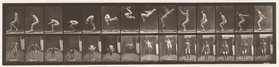 Placa 362. Voltar Somersault de Eadweard Muybridge