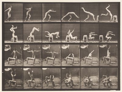 Placa 364. Mola de mão sobre as costas do homem de Eadweard Muybridge