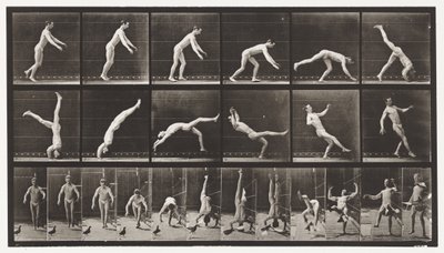 Placa 365. Headspring, A Flying Pigeon Interfering de Eadweard Muybridge