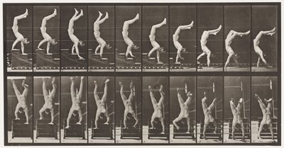 Placa 368. Acrobata, escadas descendentes nas mãos de Eadweard Muybridge