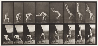 Placa 373. Acrobat, pressione para cima da cadeira de Eadweard Muybridge