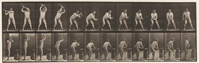 Placa 376. Ferreiro, Martelo na Bigorna, Duas Mãos, 1872-1885 de Eadweard Muybridge