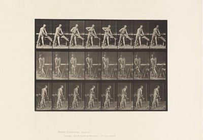 Placa 380. Carpinteiro, Serrar, 1872-1885 de Eadweard Muybridge