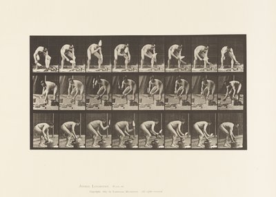 Placa 381. Pedreiro, Colocando um tijolo de Eadweard Muybridge