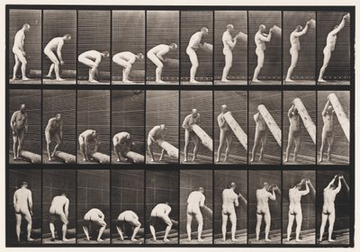 Placa 382. Levantando um Log On End, 1872-1885 de Eadweard Muybridge