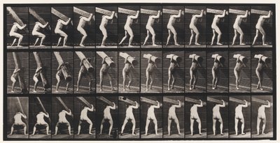 Placa 383. Levantando um ombro de tronco de Eadweard Muybridge