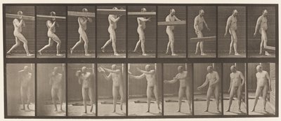 Placa 384. Levantando um ombro de tronco de Eadweard Muybridge