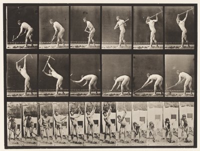 Placa 385. Fazendeiro, Usando uma Pick, 1872-1885 de Eadweard Muybridge