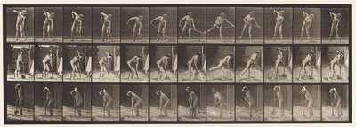 Placa 387. Fazendeiro, usando uma pá de cabo longo de Eadweard Muybridge