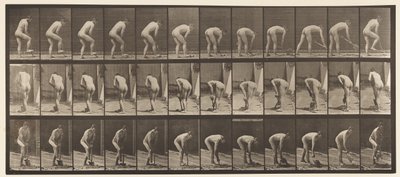 Placa 388. Fazendeiro, Usando uma Pá, 1872-1885 de Eadweard Muybridge