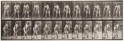 Placa 391. Fazendeiro cortando grama de Eadweard Muybridge