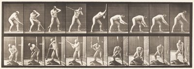 Placa 396. Batendo com uma marreta de Eadweard Muybridge